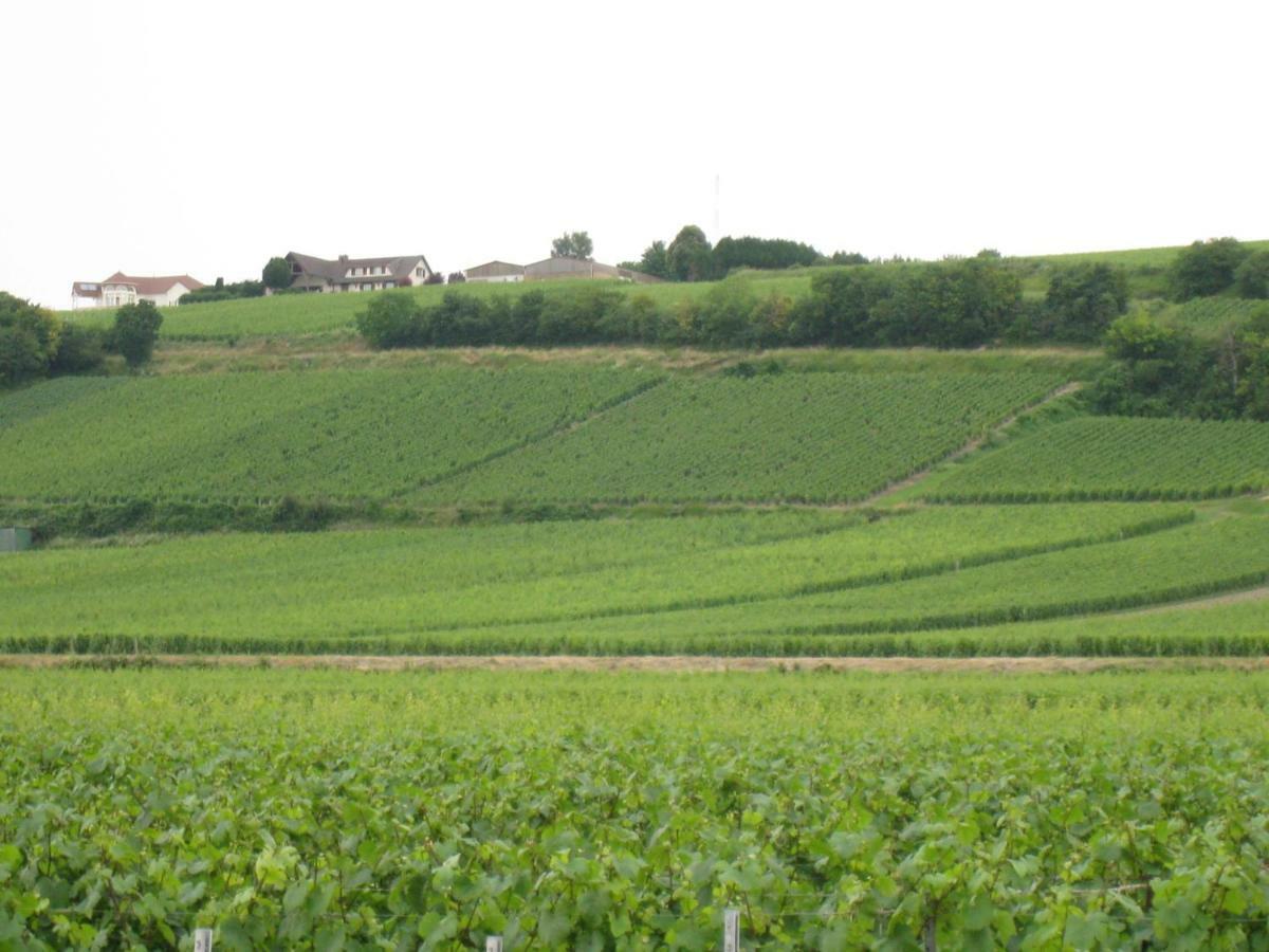 La Chambre D'Amis La Costignieres Montgueux Экстерьер фото